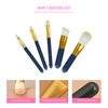 5Pcs Mini Makeup Brush Set