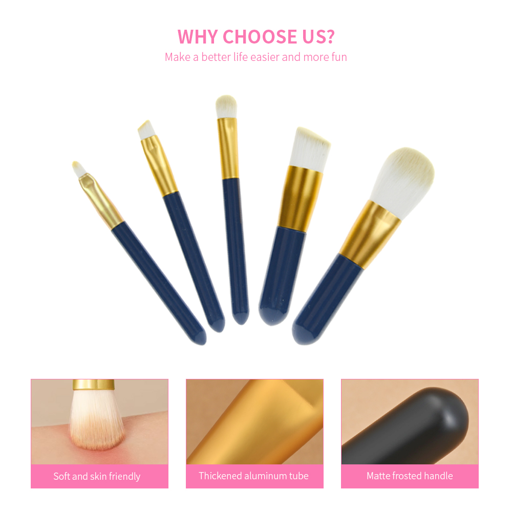 5Pcs Mini Makeup Brush Set