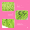 Three-Fold Hanging Wash Bag