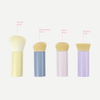 Round Short Handle Cosmetic Powder Brush Set