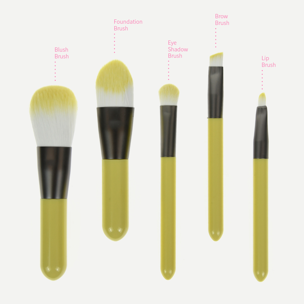 5Pcs Mini Makeup Brush Set