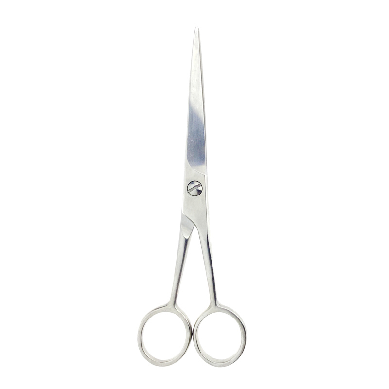 Silver Professional Barber Hair Cutting Shears