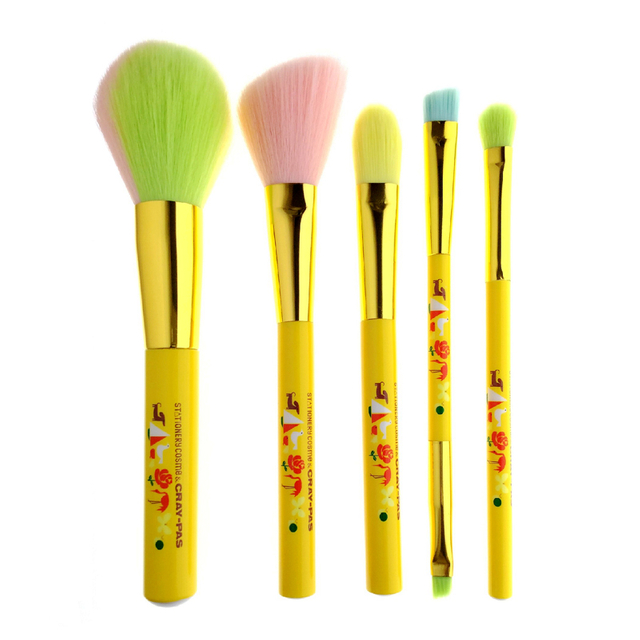 5 PCS Face Eye Colorful Makeup Brush Set