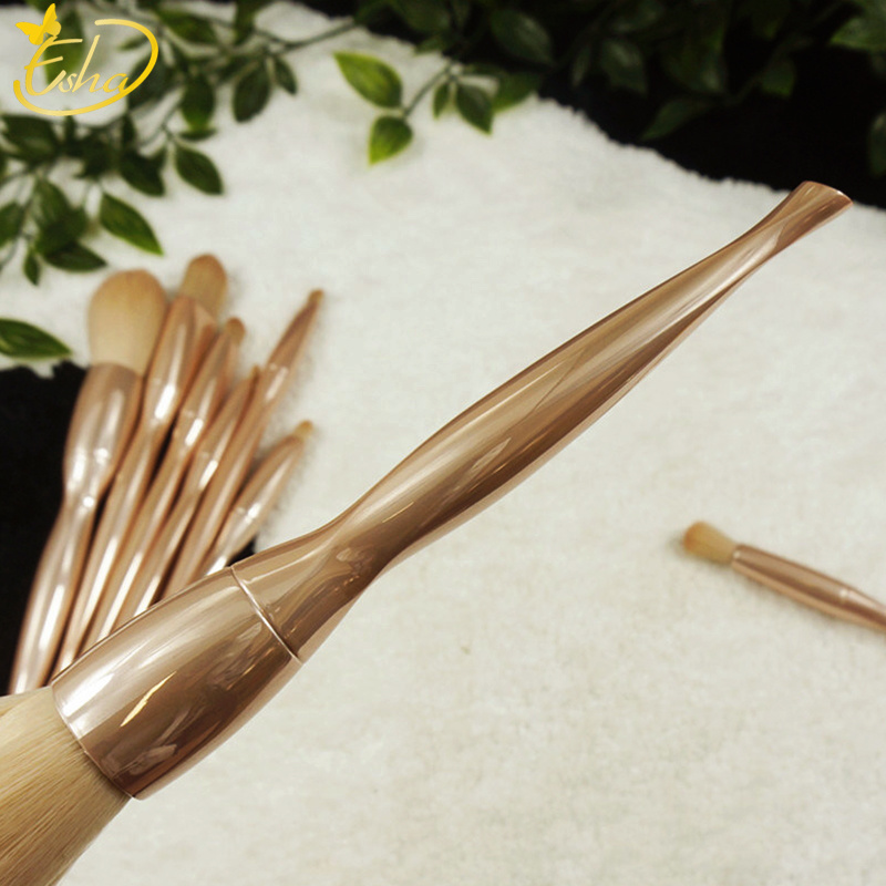Eye Makeup Brush Set