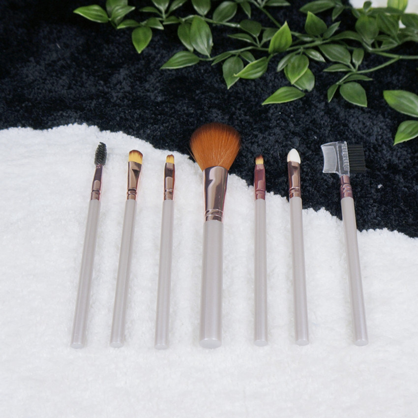 Wholesale 5PCS Makeup Brushes Set Travel Portable Makeup brush Set