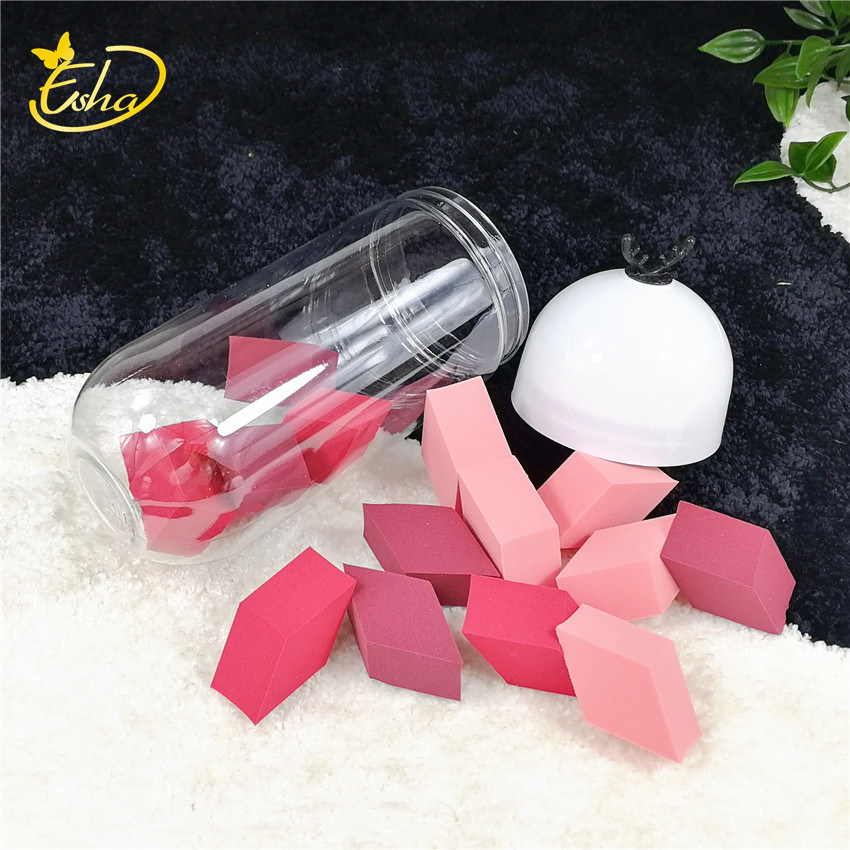 Puff Packaging Bottle Plastic Case Box Makeup Packaging Box