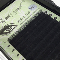 //imrorwxhqjrklo5q-static.micyjz.com/cloud/lmBpiKrrlqSRmjkononiio/Custom-False-Eyelashes-Hand-Made-Volume-Eyelashes-Extension.jpg