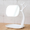Plastic Stand up Multifunctional Cosmetic Mirror