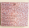 3D Mink DIY Cluster Lash Extension Kit LC09 Pink Leopard Private Label Set With Tweezers Bond Seal & Remover